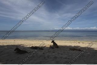 Photo Reference of Background Beach